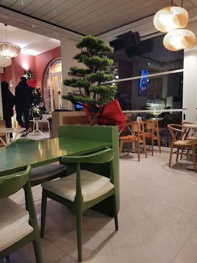 Fotoğraf 13