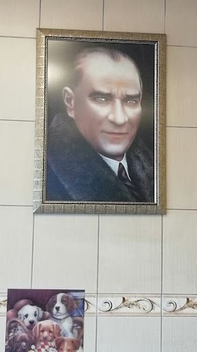 Yorum fotoğrafı 5