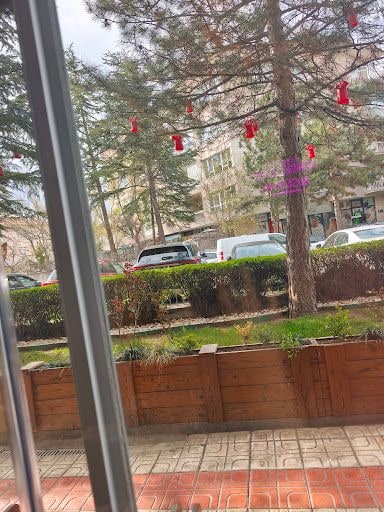 Yorum fotoğrafı 5