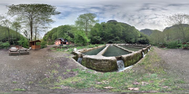 Fotoğraf 34