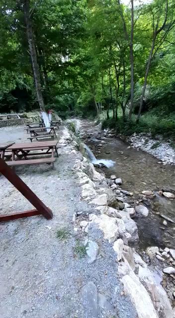 Fotoğraf 31