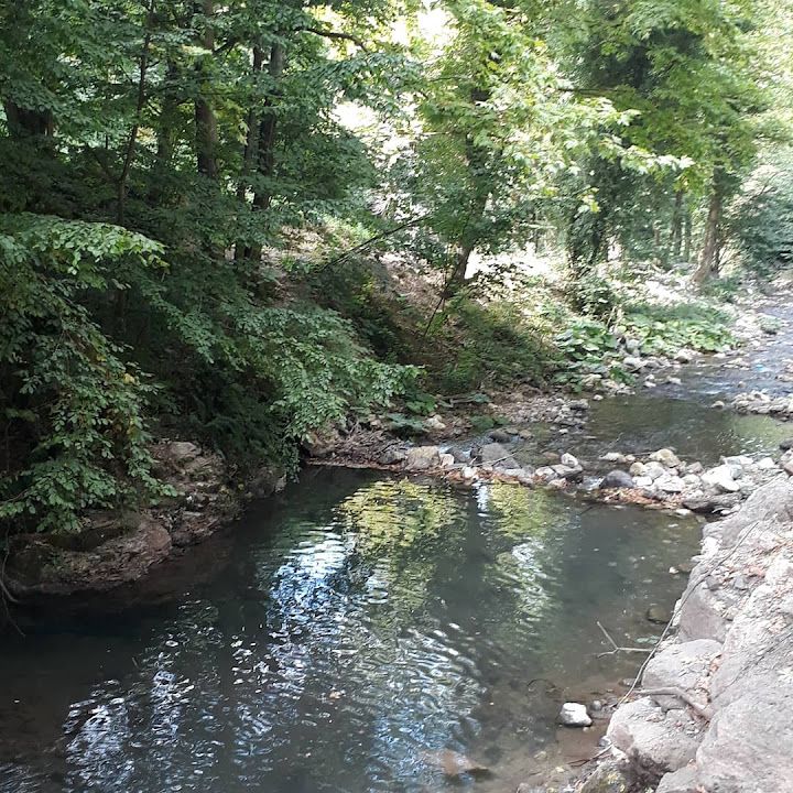 Fotoğraf 18