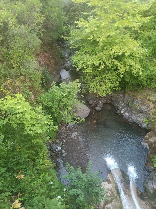 Fotoğraf 12