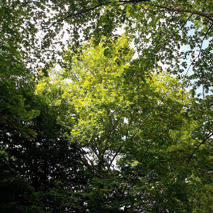 Fotoğraf 20