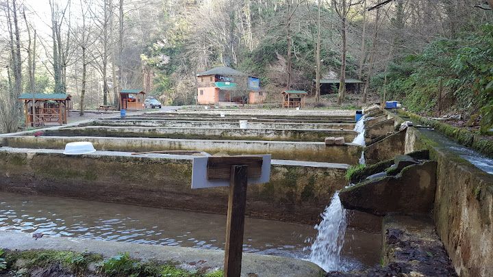 Fotoğraf 26