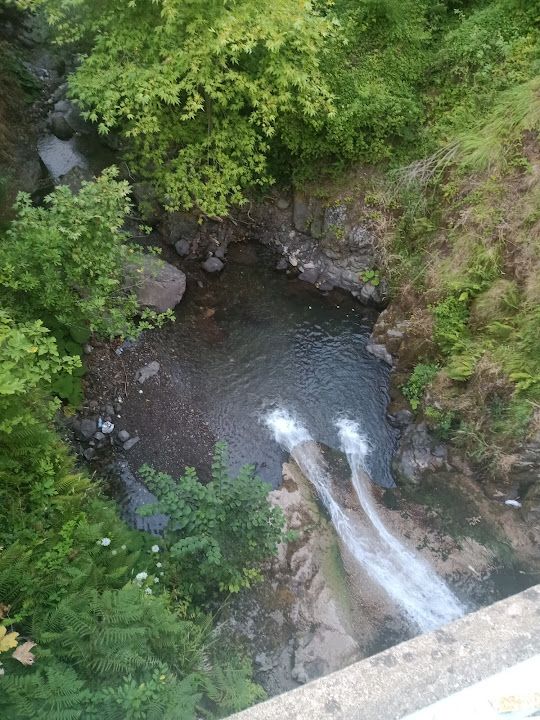 Fotoğraf 13