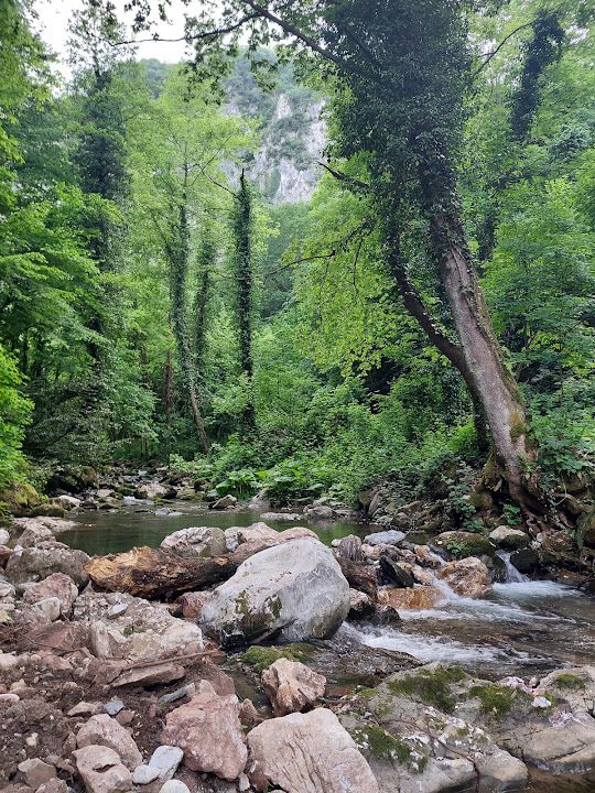 Fotoğraf 24