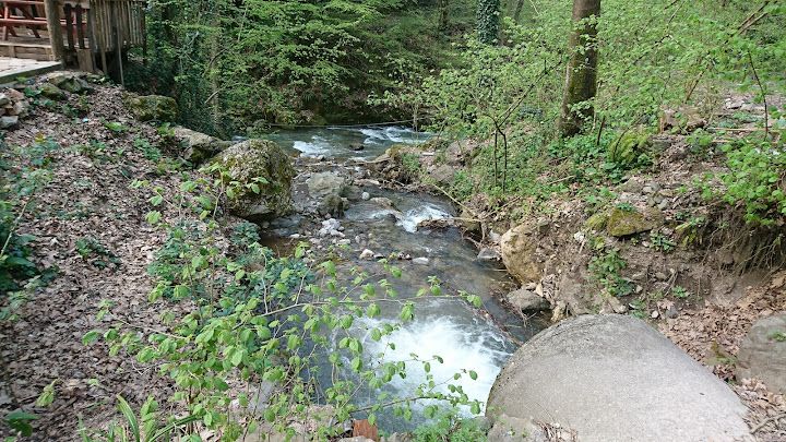 Fotoğraf 27