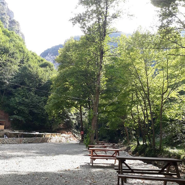 Fotoğraf 19
