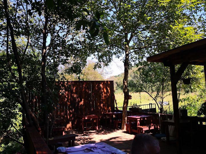 Fotoğraf 19