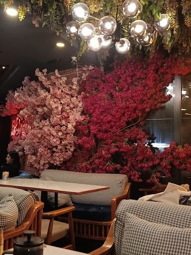 Yorum fotoğrafı 7