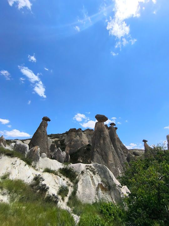 Fotoğraf 19
