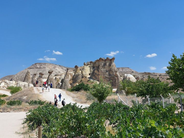 Fotoğraf 20
