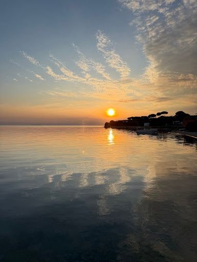 Fotoğraf 21