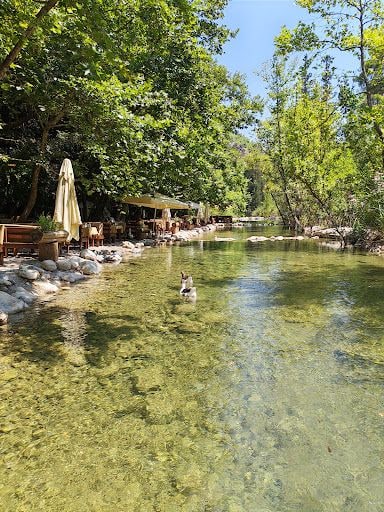 Yorum fotoğrafı 5