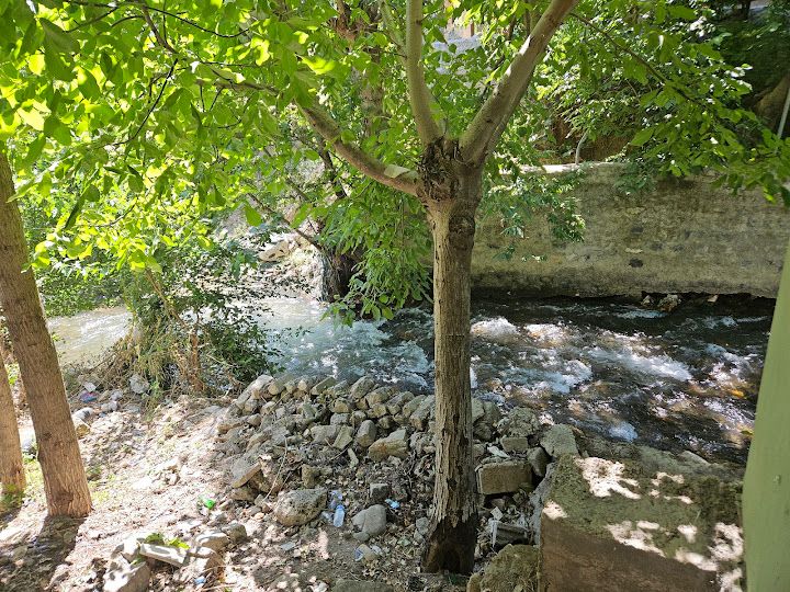 Yorum fotoğrafı 3