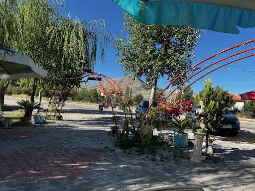 Fotoğraf 24