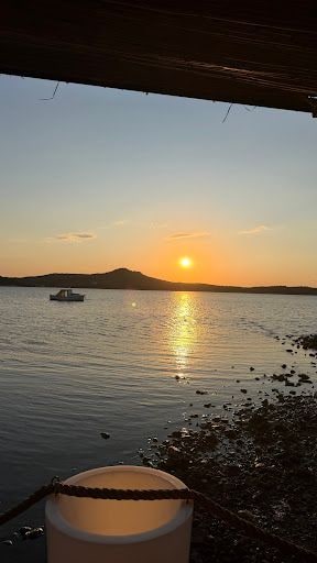 Fotoğraf 15