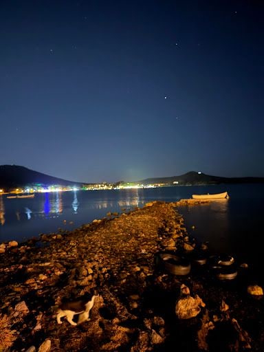 Fotoğraf 20