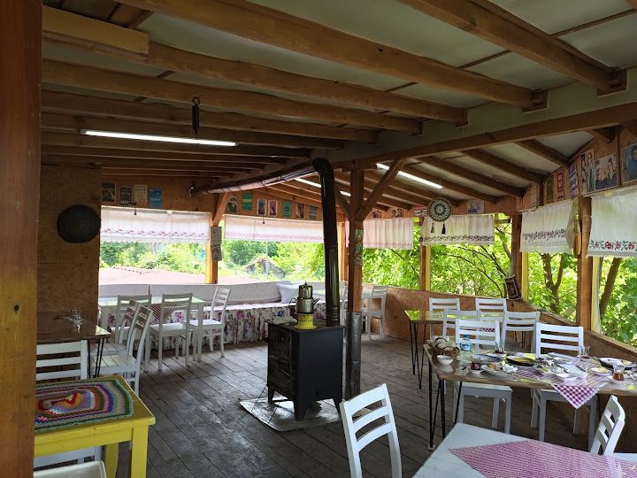 Fotoğraf 41