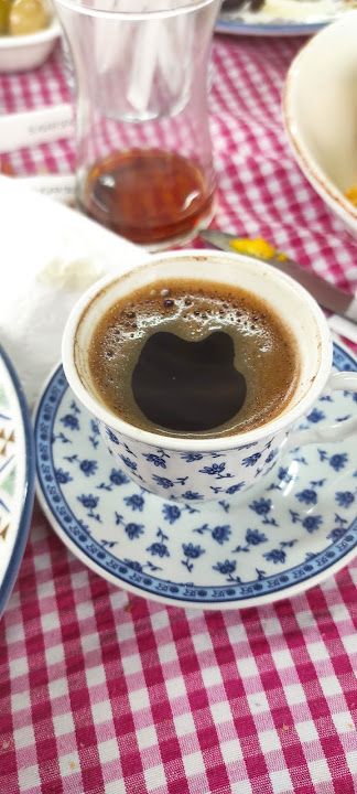 Fotoğraf 45