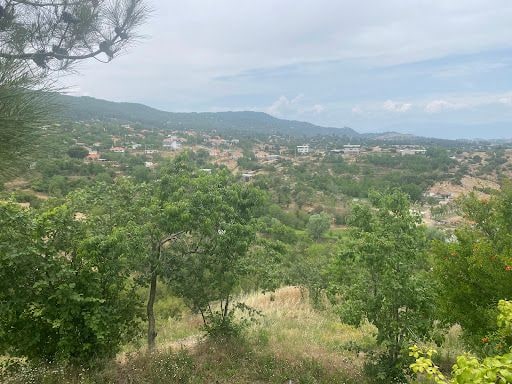 Fotoğraf 20