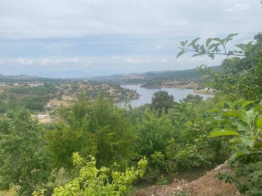 Fotoğraf 21