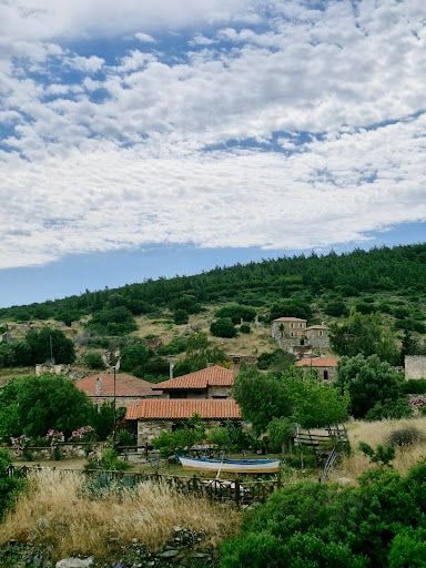 Fotoğraf 26