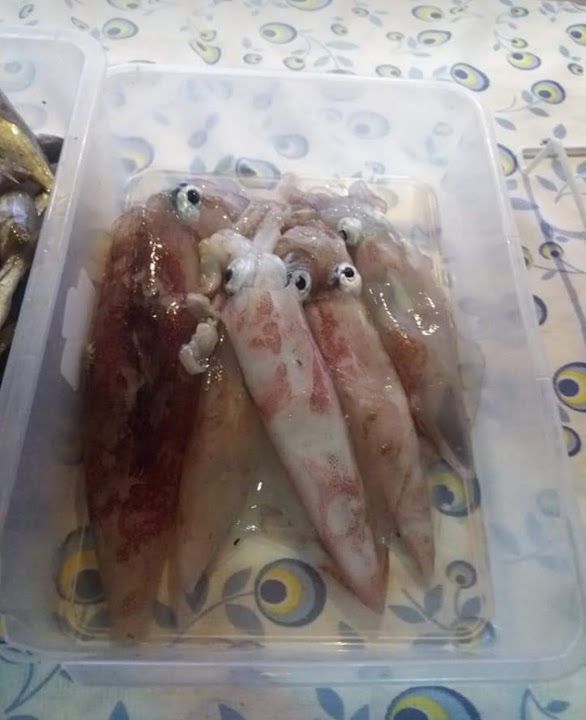 Fotoğraf 15