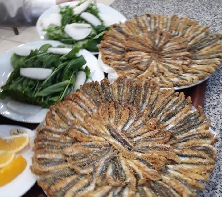 Fotoğraf 24