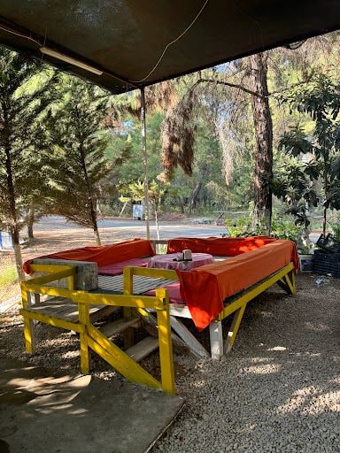 Yorum fotoğrafı 9