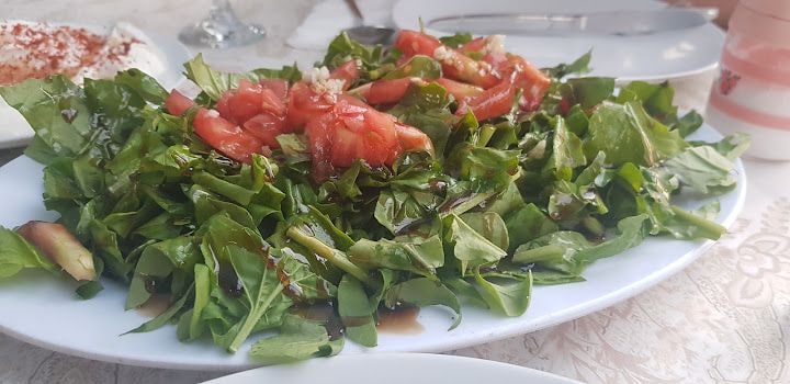 Fotoğraf 19