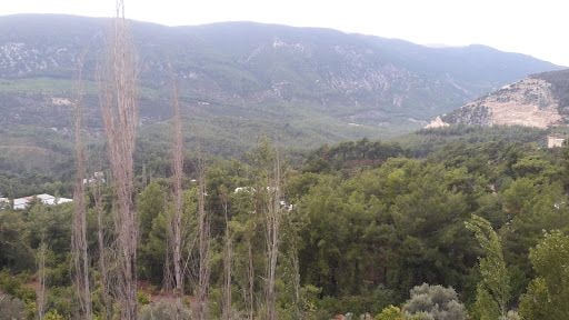 Yorum fotoğrafı 4