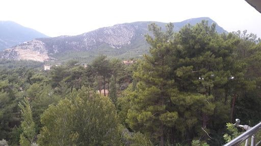 Yorum fotoğrafı 5