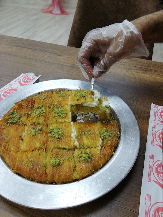 Fotoğraf 15