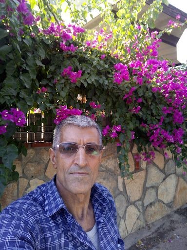 Yorum fotoğrafı 7