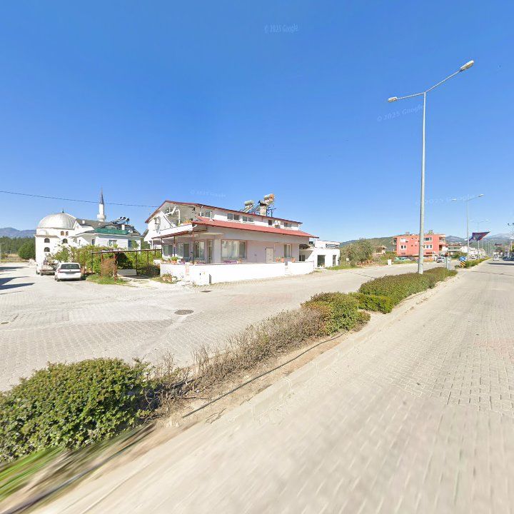 Fotoğraf 14
