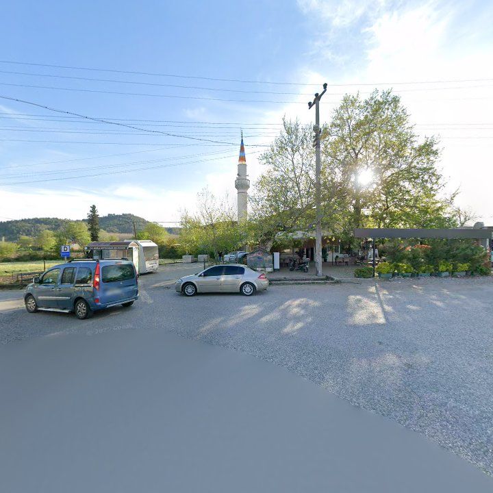 Fotoğraf 6