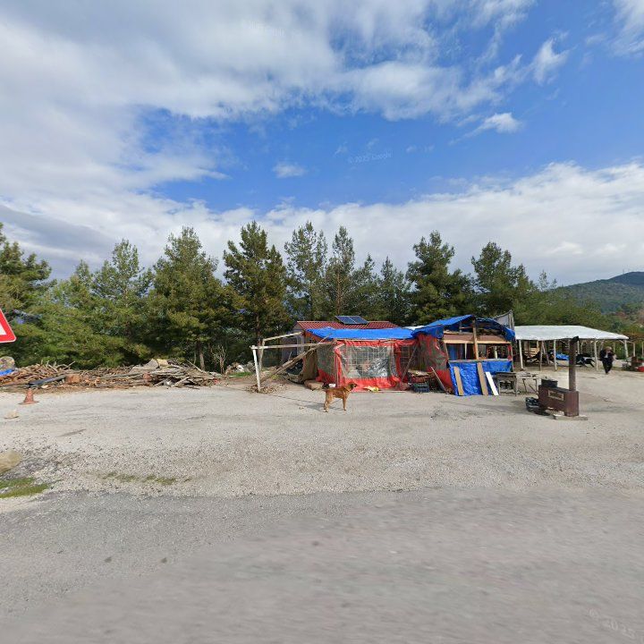 Fotoğraf 8