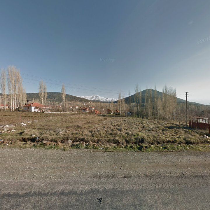 Fotoğraf 10
