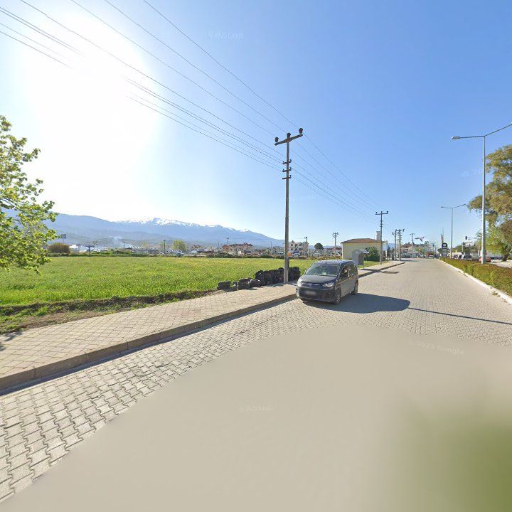 Fotoğraf 7