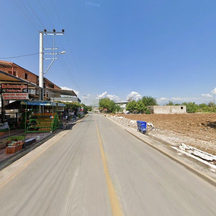 Fotoğraf 9