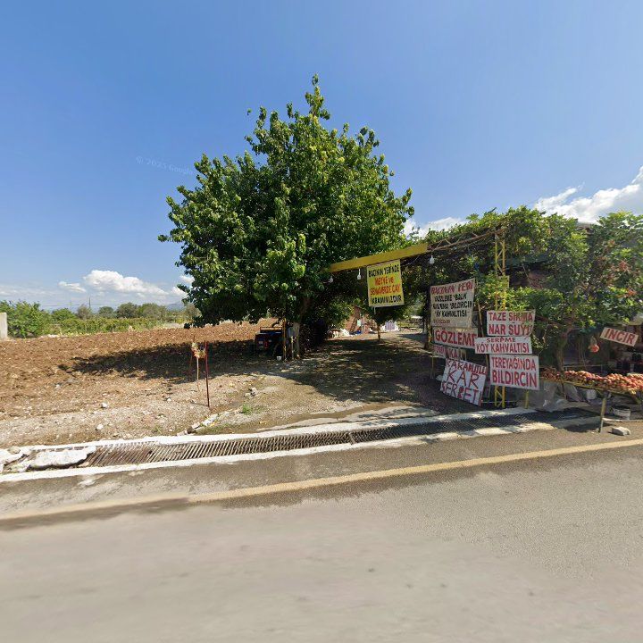 Fotoğraf 10
