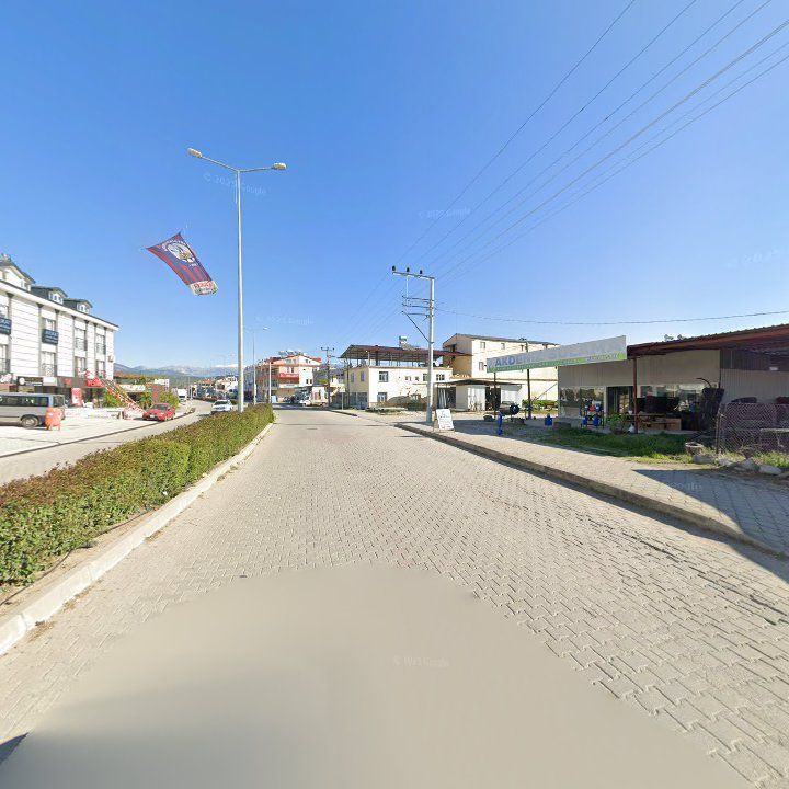 Fotoğraf 7