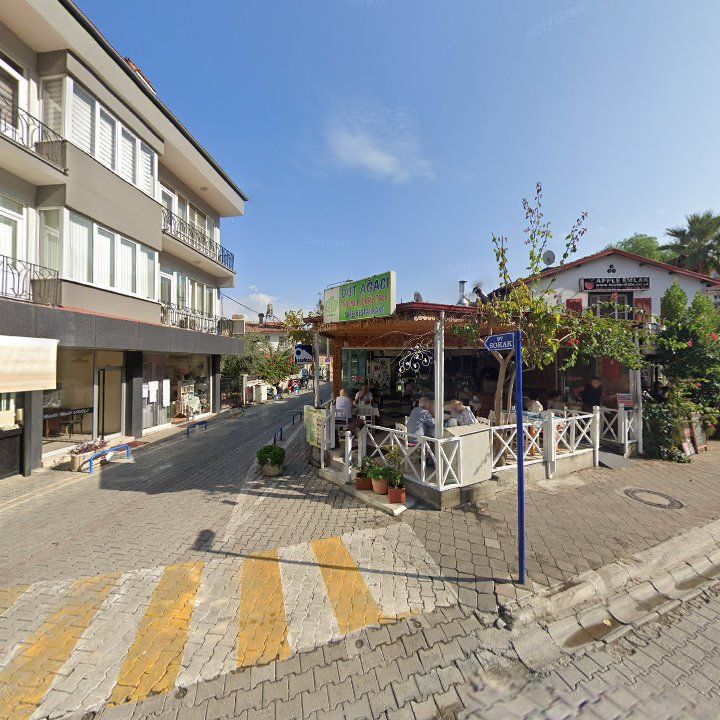 Fotoğraf 12
