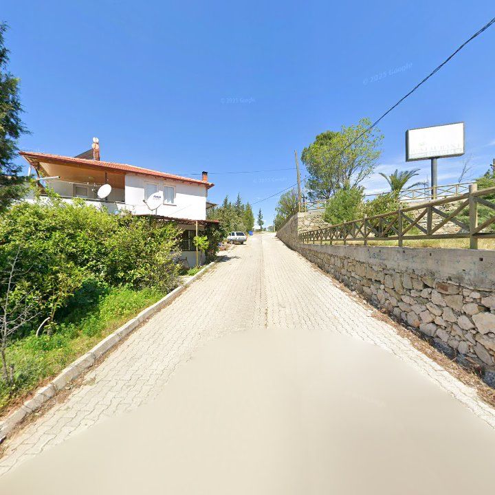 Fotoğraf 9