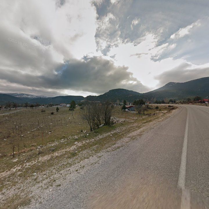 Fotoğraf 10