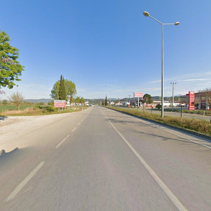 Fotoğraf 12