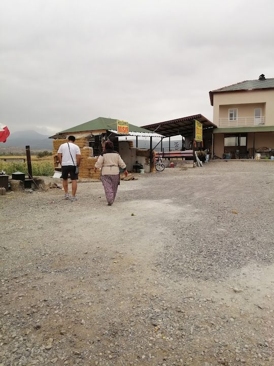 Doğan Gözleme