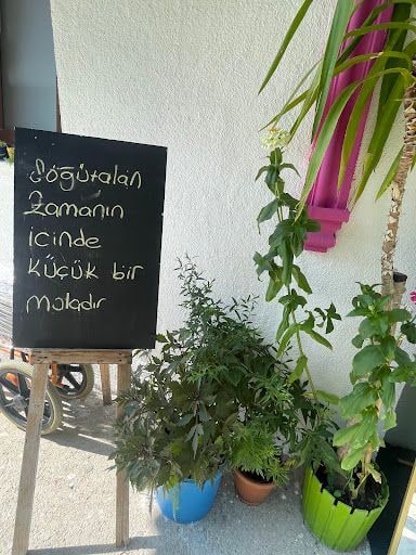 Fotoğraf 29